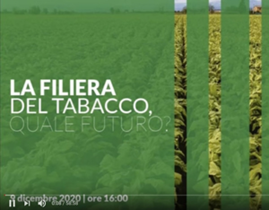 La filiera del tabacco, quale futuro